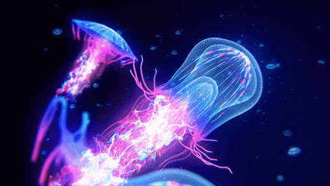 Glowing jellyfish moving through dark water